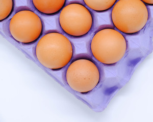 Close-up view of raw chicken eggs on background