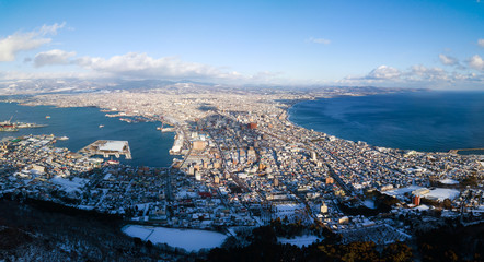 aerial view of Hakodate city Hokkaido in winter