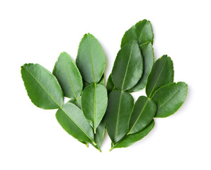 bergamot or Kaffir lime leaf on white background