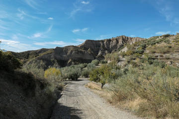 Mountains with huge rocks. Green grass and tress under the blue sky with white clouds.