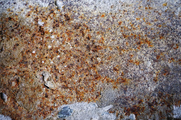 The texture of obsolete concrete with rusty and dark spots.