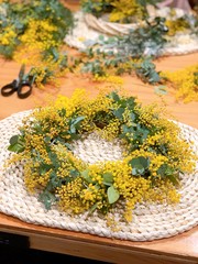 ミモザのフラワーリースを作っている