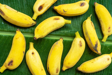 Flat lay layout of yellow bananas on a green banana leaf. Eco food