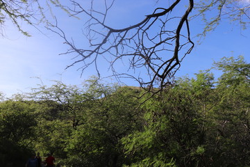 Honolulu Diamond head and Honolulu beach