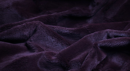 Natural rabbit fur texture. Fur coat, fur coats. A fragment of purple fur texture as a background composition.