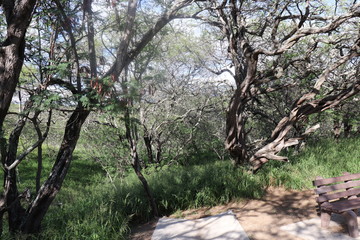 Honolulu Diamond head and Honolulu beach