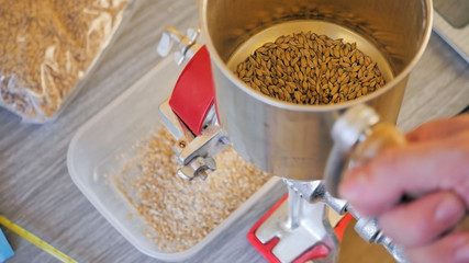 Crushing the malt using a mill, before mashing our beer, homebrewing