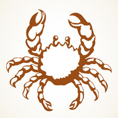 Big sea crab. Vector drawing