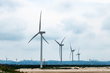Fototapeta premium windmill