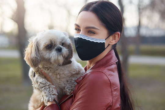 Outdoor picture of delighted lovely young female wearing antibacterial mask to protect from coronavirus, holding white Maltese dog in hands, having walk, being animal lover. Quarantine concept.
