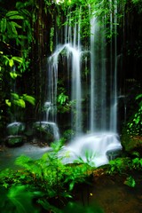Obrazy na Szkle  Malowniczy widok na wodospad w lesie