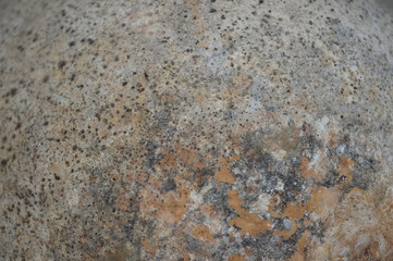 The patterned flooring of the large hard-shelled fruit is dried in the sun.