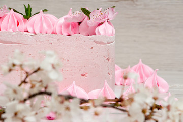 Pink marshmallow cake on a light background with a painted machine