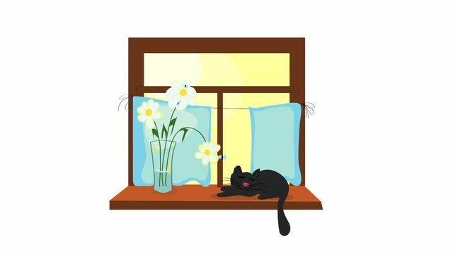 video animation with a cat waving its tail lying on a windowsill under a bouquet of daisies on the background of a window on a sunny day. warming atmosphere of summer holidays home