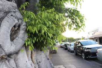 Honolulu Diamond head and Honolulu beach