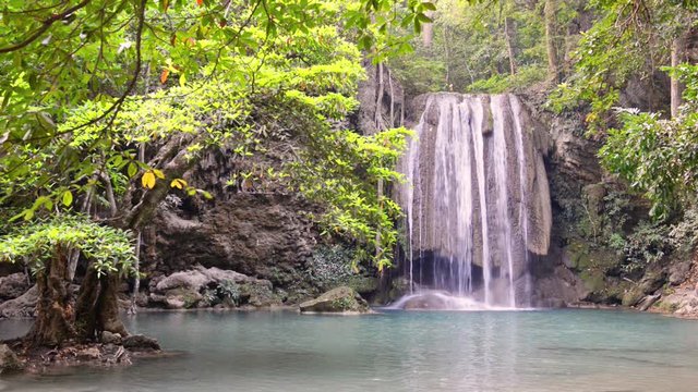 Waterfall water cascade near tree in green forest. Full HD video clip