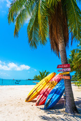 Multi-colored kayaks on a tropical sandy beach. Kayak rental. Tourist entertainment