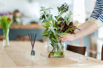 陽の光が明るいカフェ・レストランのテーブルの上の花瓶に花束を生けるシーン