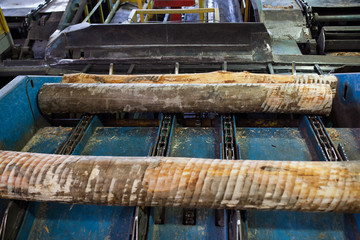 Log conveyor in a plywood factory