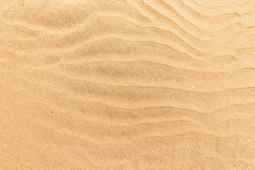 Fototapeta na wymiar sand texture on the sea coast