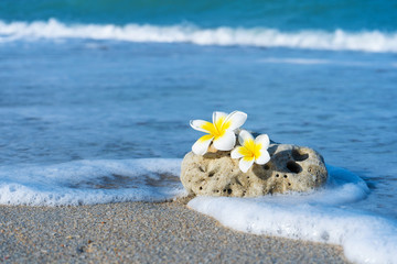 A small stone of an interesting smooth form is washed by waves on the beach. Calm and relaxation by the sea concept