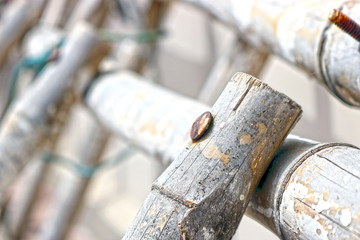 Old Banboo Leder With Rusty Mental.