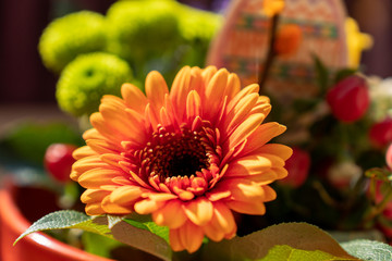 Frühlingsblumen im Topf mit Osterdekoration