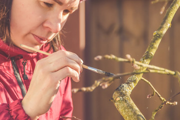 gardener protects the sections of trees from pests.