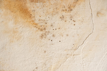 Old vintage wall in paint and patina