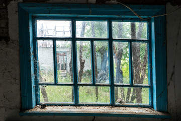 View from an old dirty window to a garden with trees