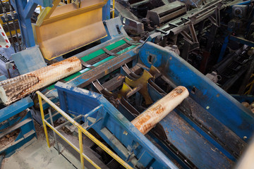Fototapeta premium Log conveyor in a plywood factory