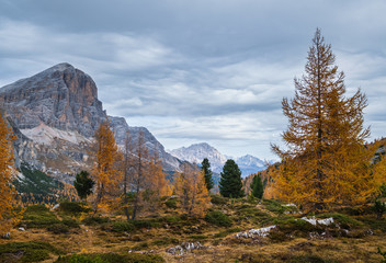 Colorful autumn alpine Dolomites mountain scene, Sudtirol, Italy. Peaceful view from Falzarego Path.