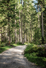 Braies lake trail