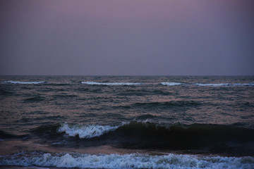 Wave