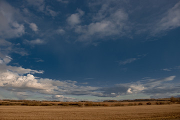 Fototapeta na wymiar blue sky with Cumulus clouds