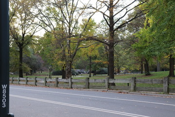 New York in her beautiful autumn suit Central Park