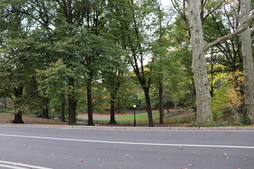 New York in her beautiful autumn suit Central Park