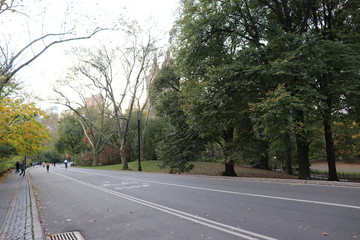 New York in her beautiful autumn suit Central Park