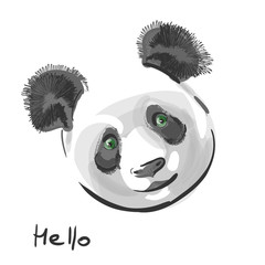 Hello. Panda. Portrait of cute panda