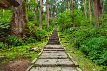 【山形県鶴岡市】羽黒山杉並木の表参道は「わざわざ訪れる価値」のあるパワースポット