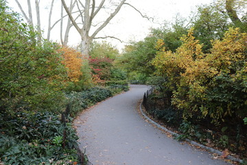 New York in her beautiful autumn suit Central Park