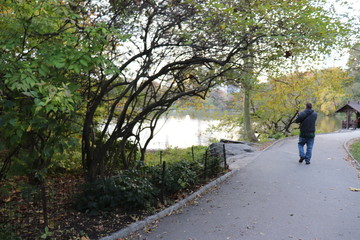 Fototapeta na wymiar New York in her beautiful autumn suit Central Park