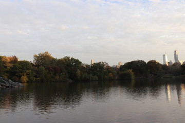 New York in her beautiful autumn suit Central Park