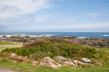Otter Trail im Tsitsikamma Nationalpark