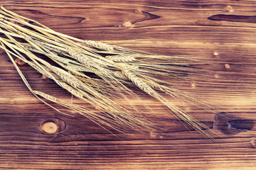 Close-up view of ripe wheat spikelets on rural wooden table. Top view.