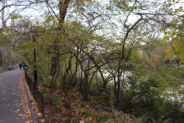 New York in her beautiful autumn suit Central Park