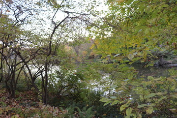 New York in her beautiful autumn suit Central Park