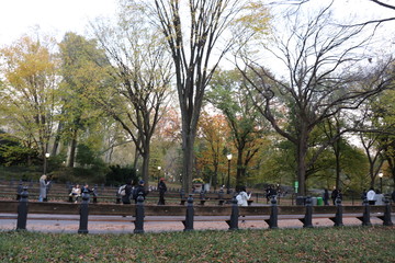 New York in her beautiful autumn suit Central Park