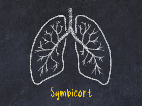 Concept of learning lung diseases. Chalk drawing of lungs with inscription