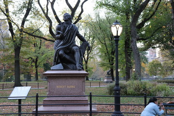 Obraz premium New York in her beautiful autumn suit Central Park
